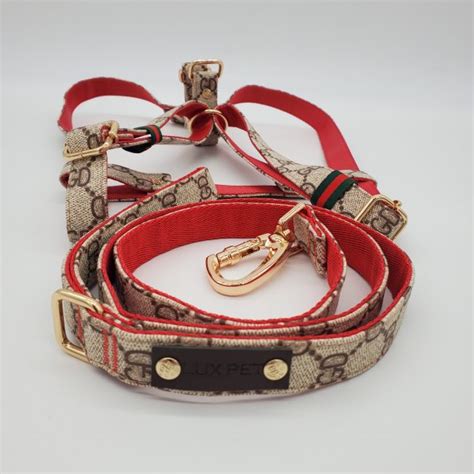 gucci cat and dog shoes|Gucci dog leashes.